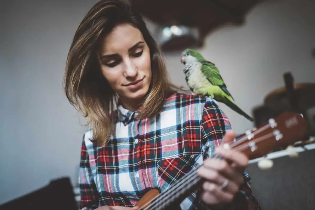 parrot and music