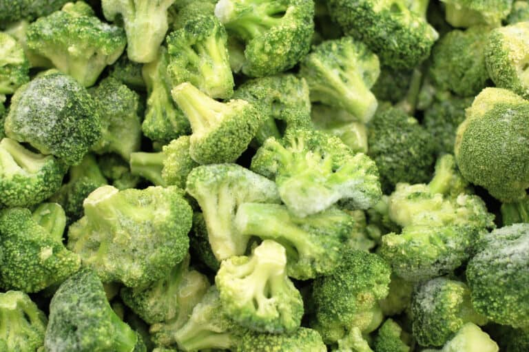 Can Your Parrot Eat Broccoli Superfood or Not? Talkie Parrot