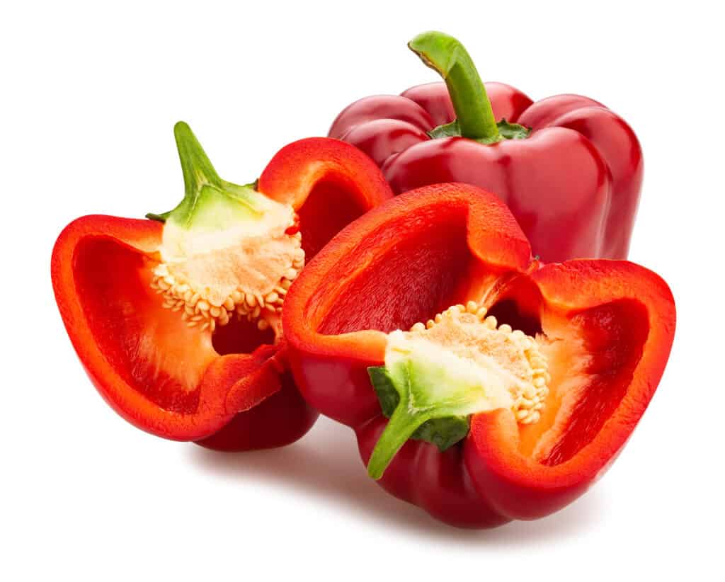 Can Parrots Eat Bell Peppers? Talkie Parrot