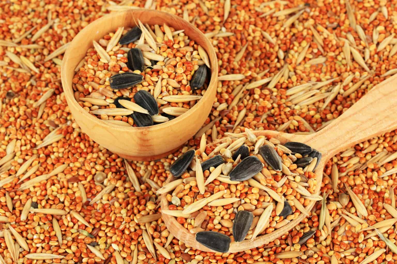 4 Best Parrot Pellets You Need to Try in 2021! Talkie Parrot