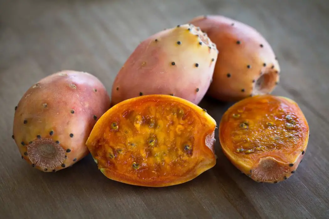 prickly pear for parrots