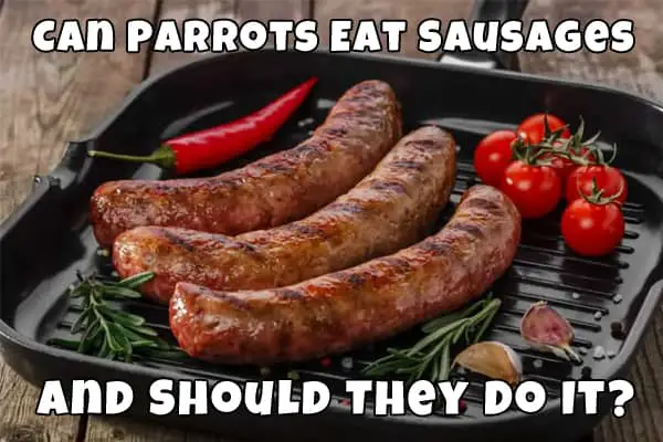 sausages for parrots