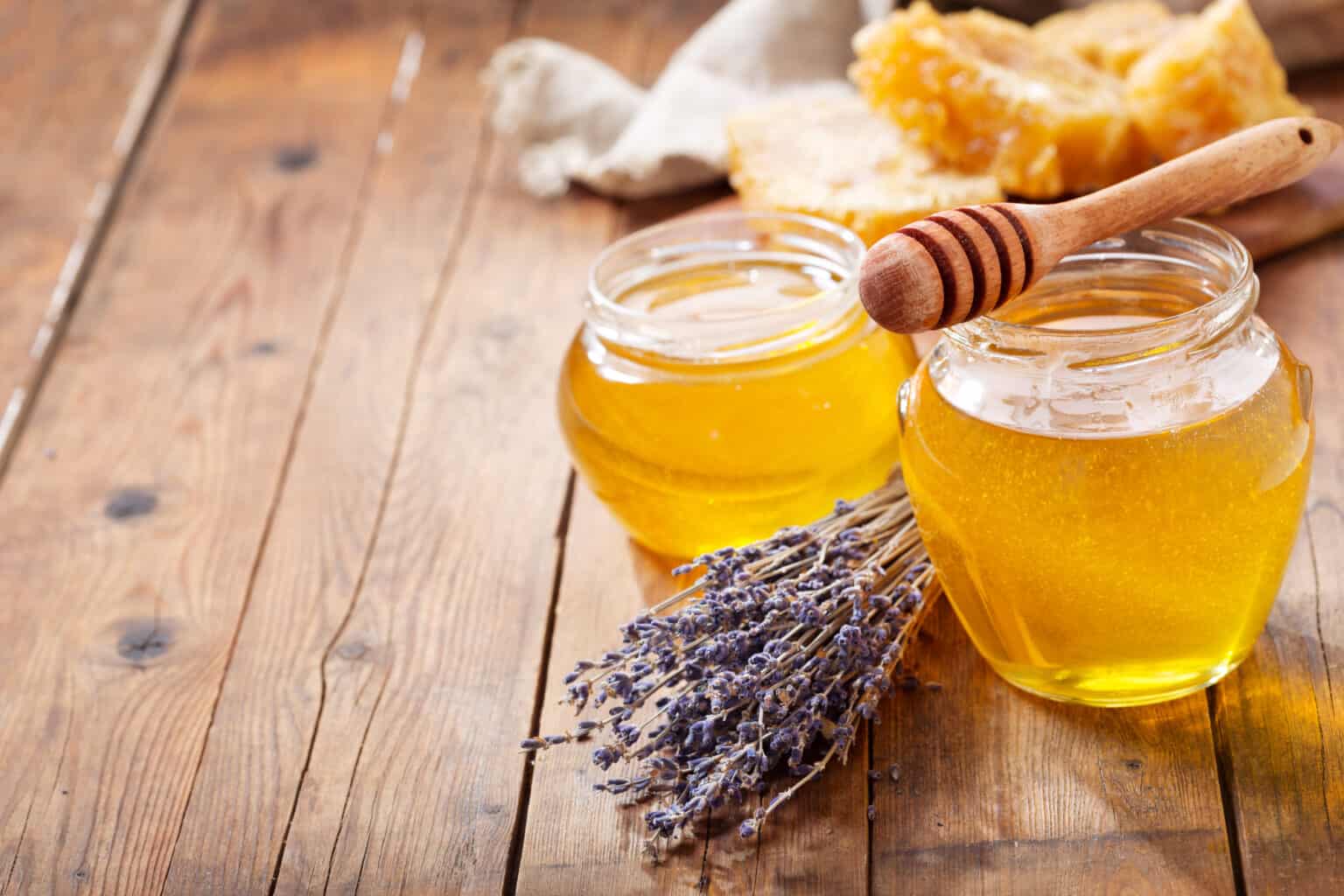 Can Parrots Eat Honey Safely? Talkie Parrot