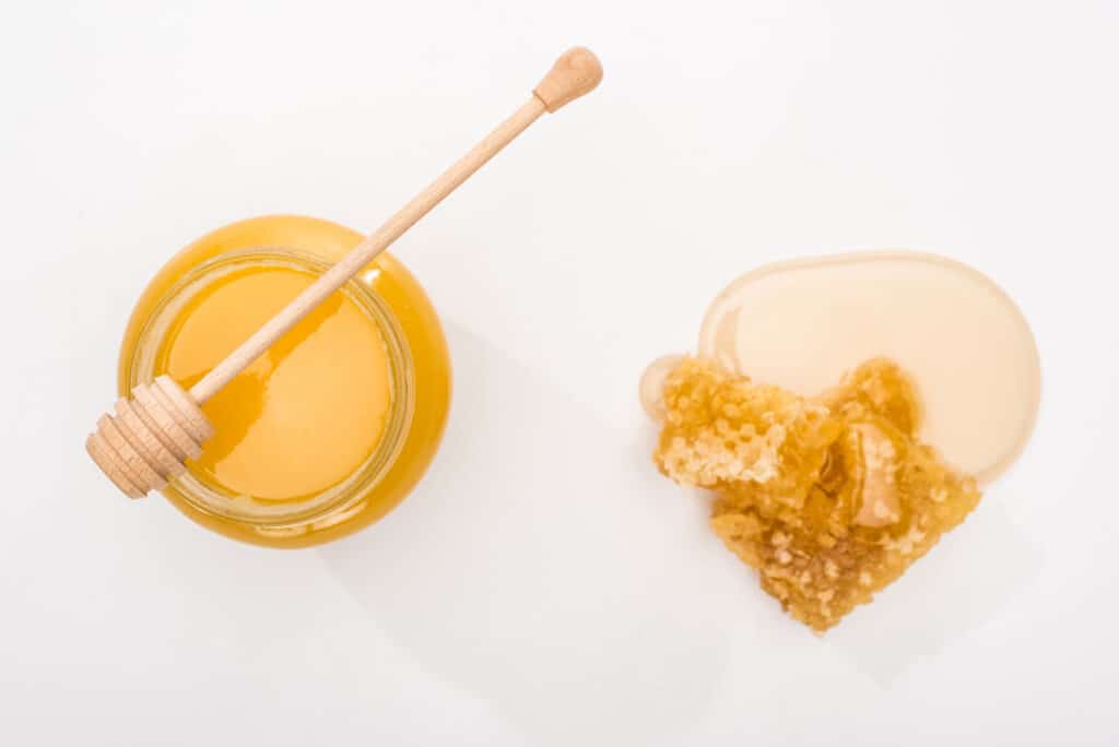 Can Parrots Eat Honey Safely? Talkie Parrot