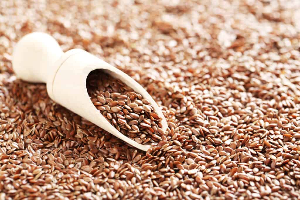 Can Parrots Eat Flax Seeds and Enjoy All the Benefits? Talkie Parrot