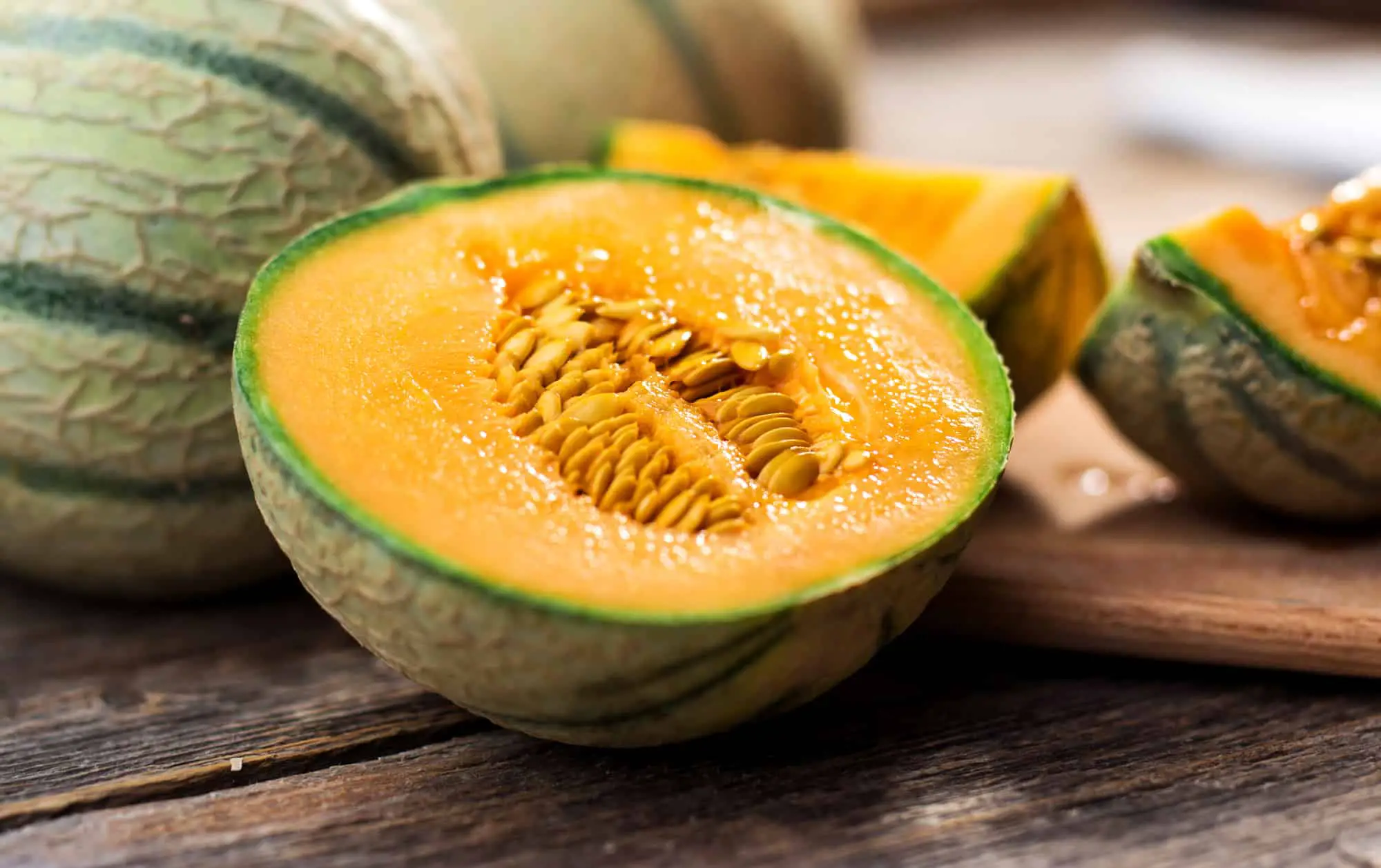 cantaloupe for parrots