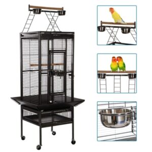 Best Cage For Jardines Parrots - Talkie Parrot